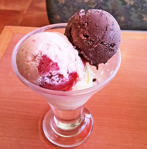 fujiya10_5.jpg