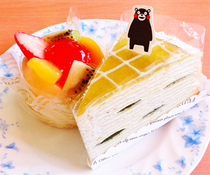fujiya14_6.jpg