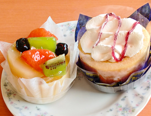 fujiya15_2.jpg