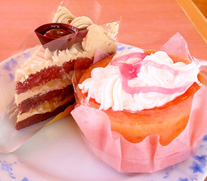 fujiya19_2.jpg