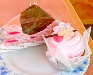 fujiya19_3.jpg