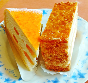 fujiya20_4.jpg