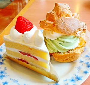 fujiya20_5.jpg
