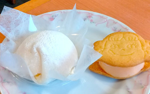 fujiya26_5.jpg