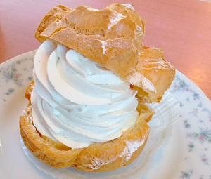 fujiya28_5.jpg