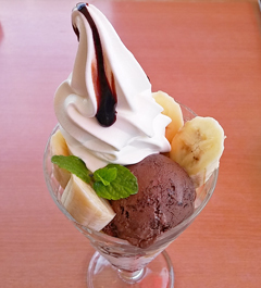 fujiya2_2.jpg
