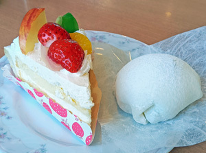 fujiya32_5.jpg