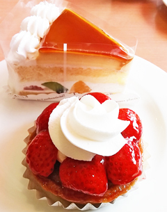fujiya3_3.jpg